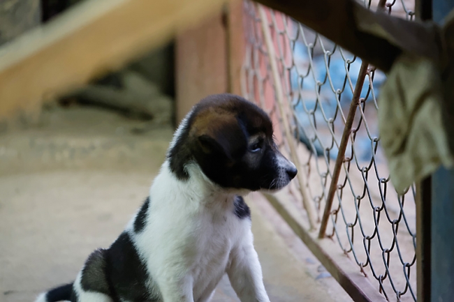 Famille et amis-MAR14-081